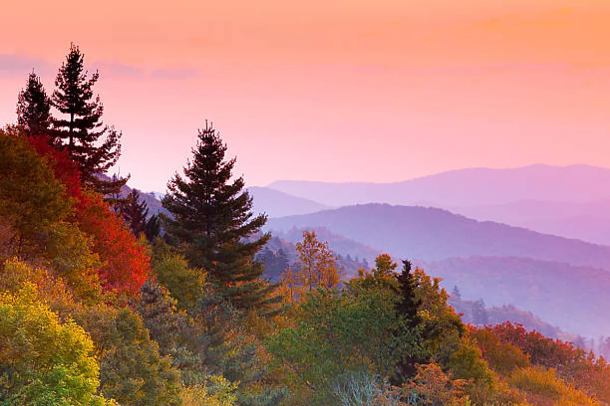 A panoramic view of majestic mountains framed by vibrant trees and a softly colored sky at sunset, evoking a sense of serenity and awe-inspiring natural beauty. The scene invites contemplation and suggests the grandeur of the surrounding landscape.