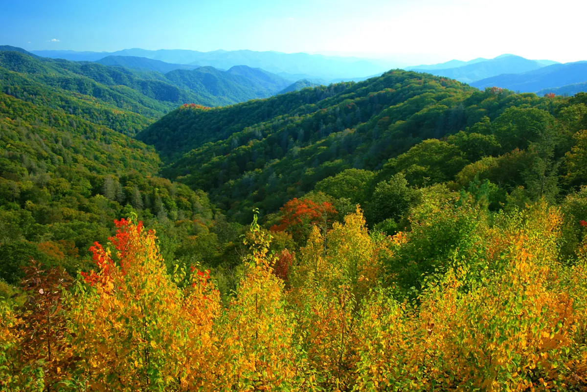 A sweeping view of rolling hills, vibrant foliage, and distant mountain peaks under a serene sky. The scene captures the breathtaking natural surroundings that make the region a cultural and artistic haven.